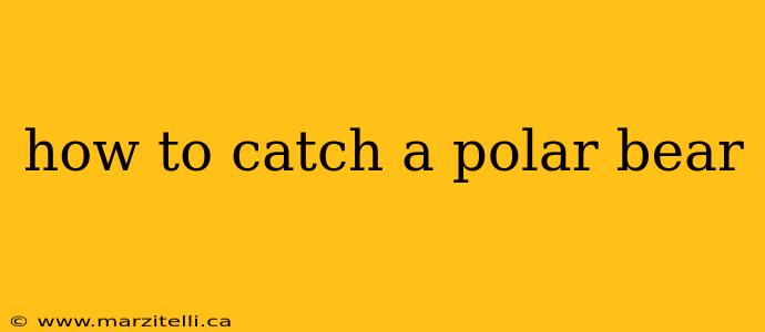 how to catch a polar bear