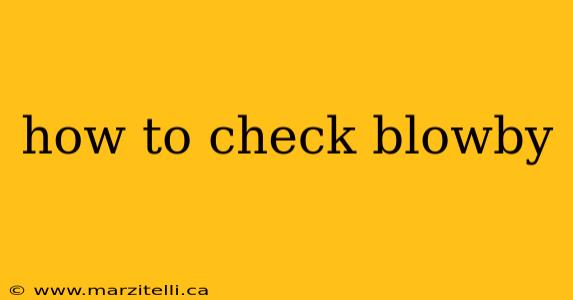 how to check blowby