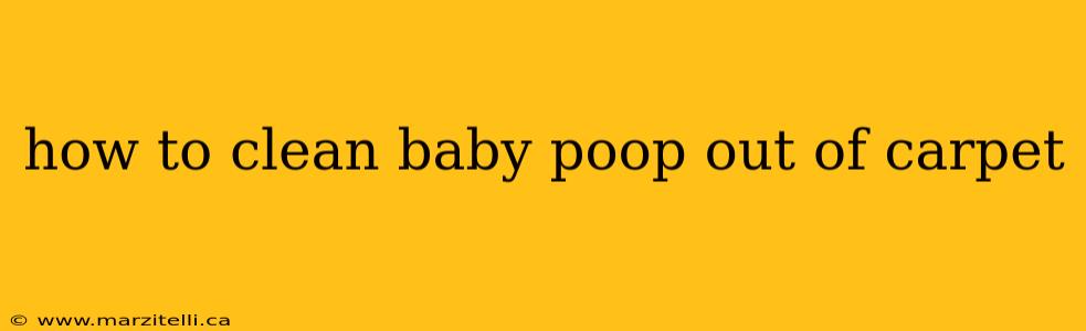 how to clean baby poop out of carpet