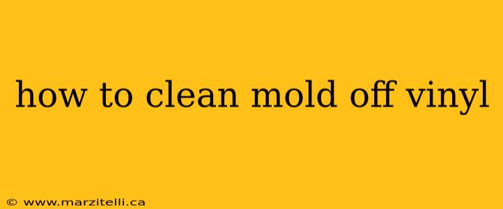 how to clean mold off vinyl