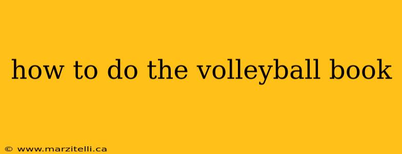 how to do the volleyball book