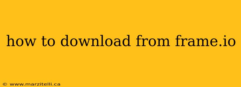 how to download from frame.io