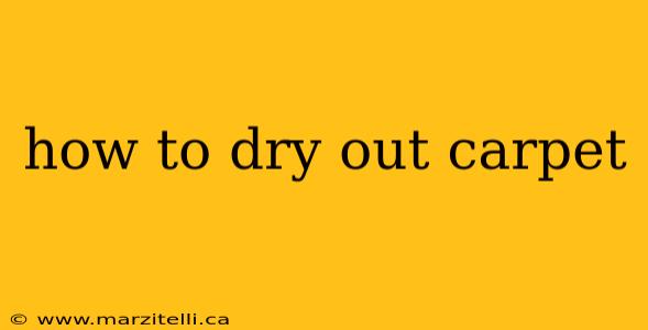 how to dry out carpet