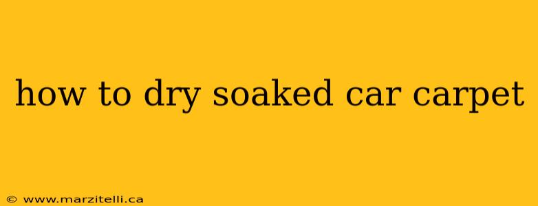 how to dry soaked car carpet