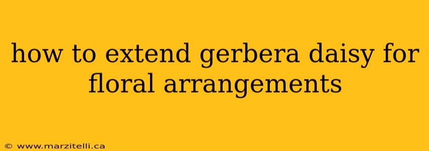 how to extend gerbera daisy for floral arrangements