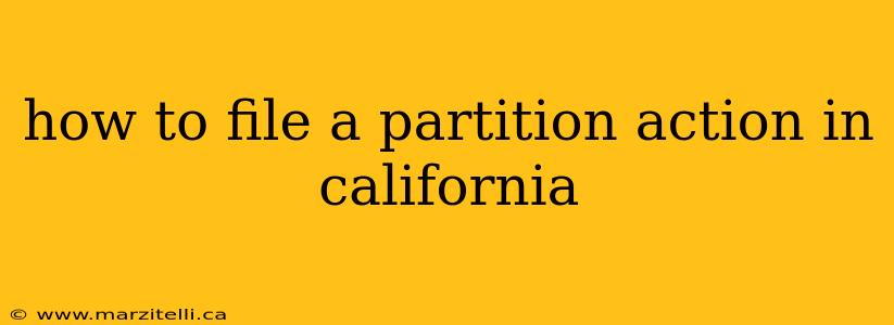 how to file a partition action in california