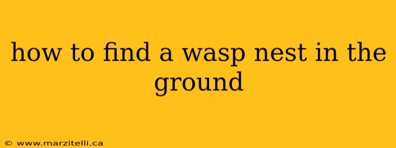how to find a wasp nest in the ground