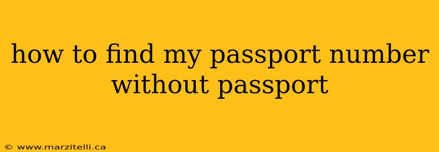 how to find my passport number without passport