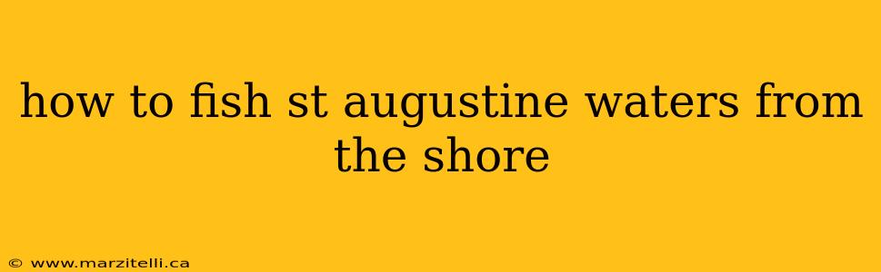 how to fish st augustine waters from the shore