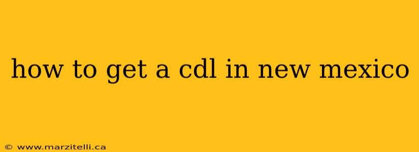 how to get a cdl in new mexico