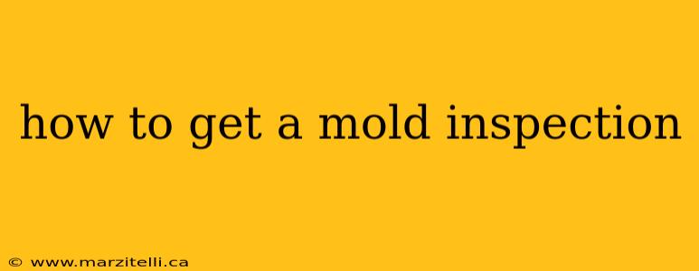 how to get a mold inspection