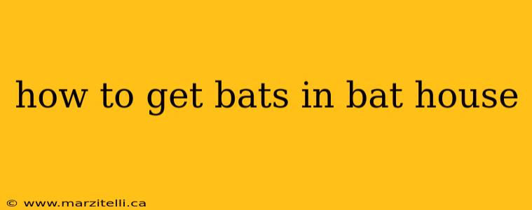 how to get bats in bat house