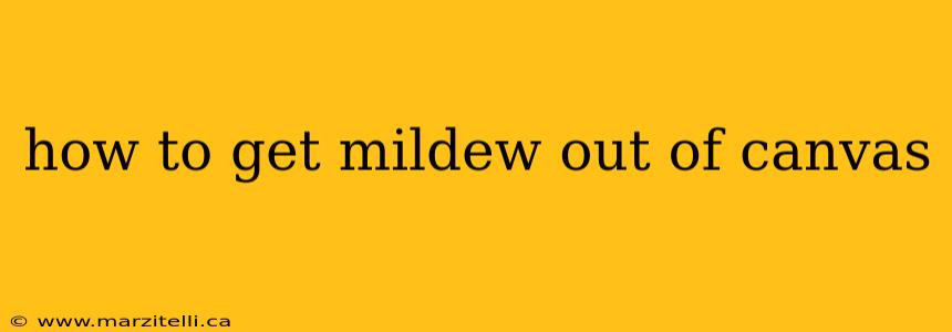 how to get mildew out of canvas