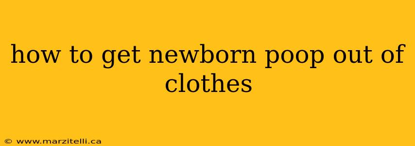 how to get newborn poop out of clothes
