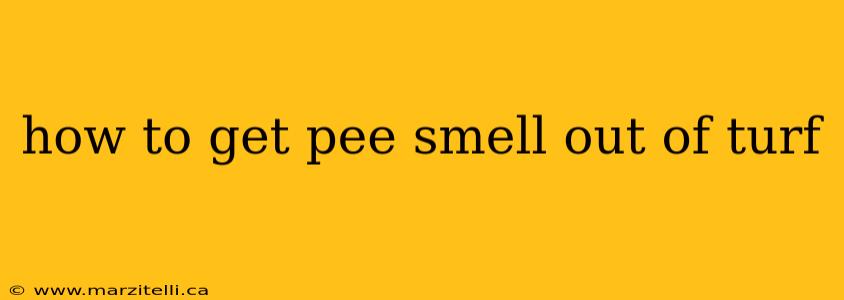 how to get pee smell out of turf