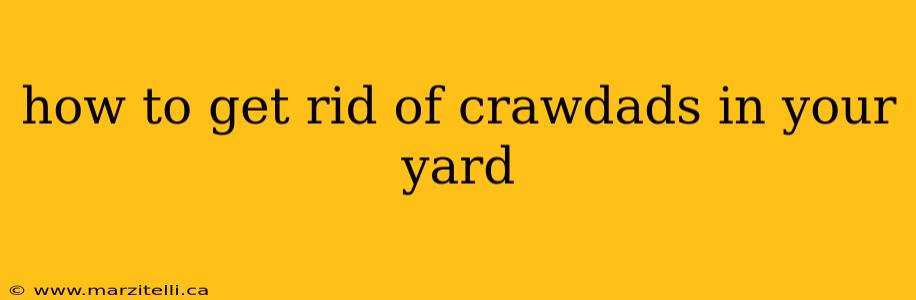 how to get rid of crawdads in your yard
