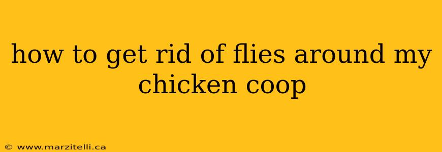 how to get rid of flies around my chicken coop