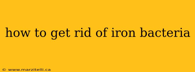 how to get rid of iron bacteria