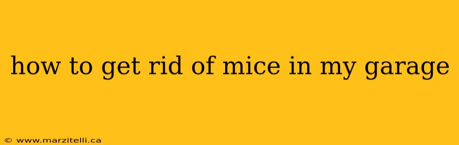 how to get rid of mice in my garage