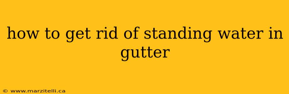how to get rid of standing water in gutter