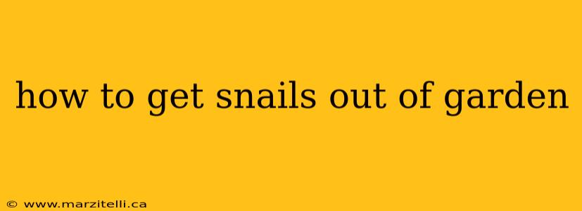 how to get snails out of garden