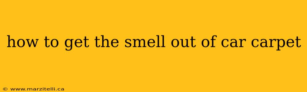how to get the smell out of car carpet