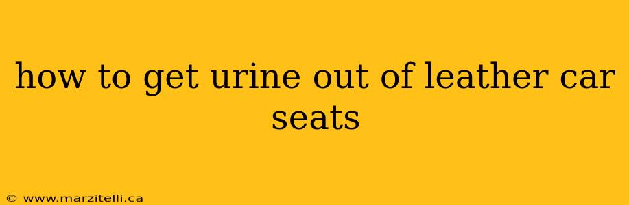 how to get urine out of leather car seats