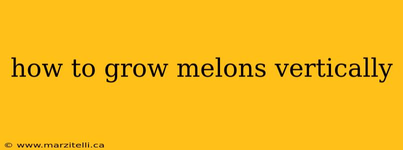 how to grow melons vertically