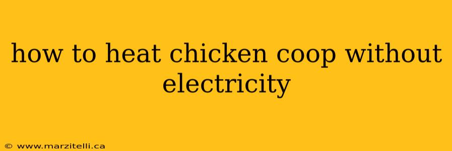how to heat chicken coop without electricity