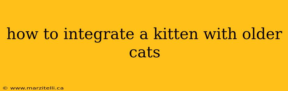 how to integrate a kitten with older cats