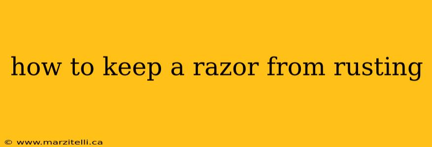 how to keep a razor from rusting
