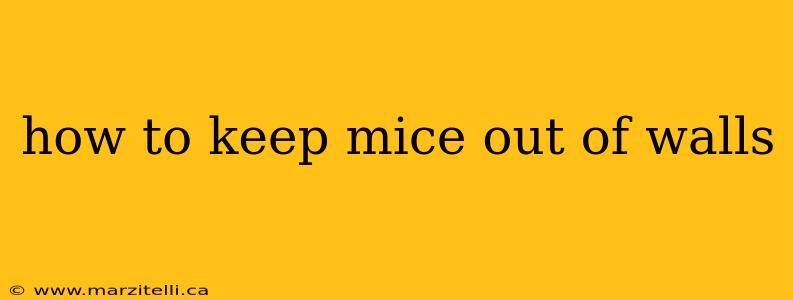 how to keep mice out of walls