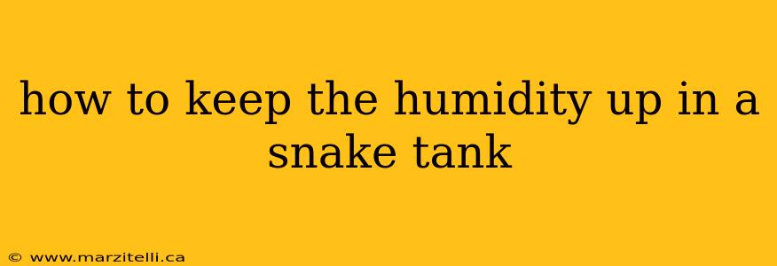 how to keep the humidity up in a snake tank