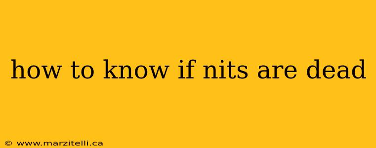 how to know if nits are dead