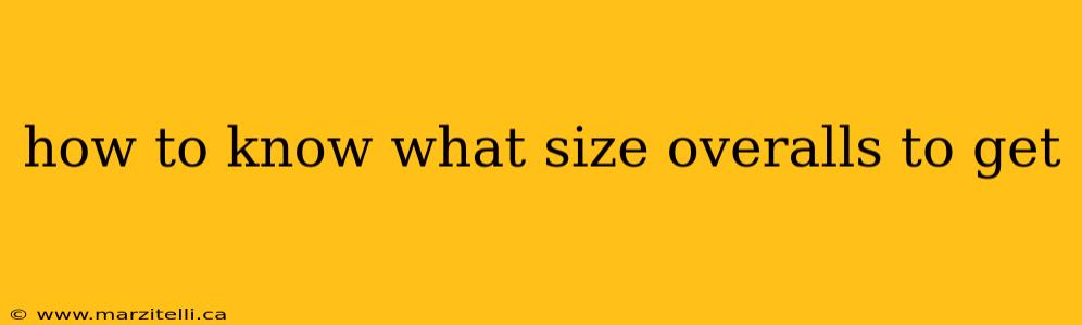 how to know what size overalls to get