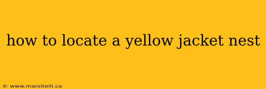 how to locate a yellow jacket nest