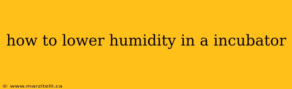 how to lower humidity in a incubator