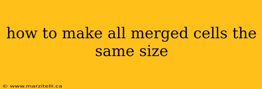 how to make all merged cells the same size