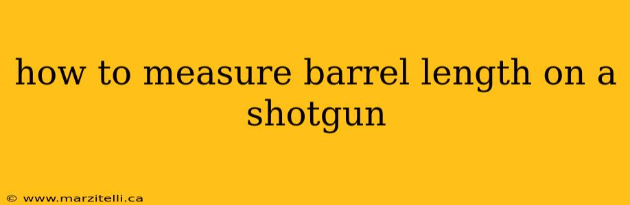 how to measure barrel length on a shotgun