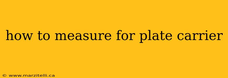 how to measure for plate carrier