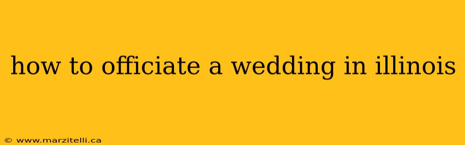 how to officiate a wedding in illinois