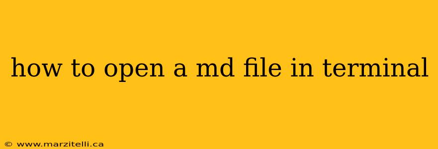how to open a md file in terminal