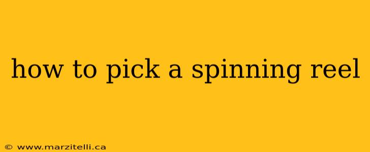 how to pick a spinning reel