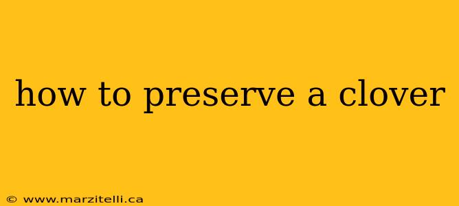how to preserve a clover