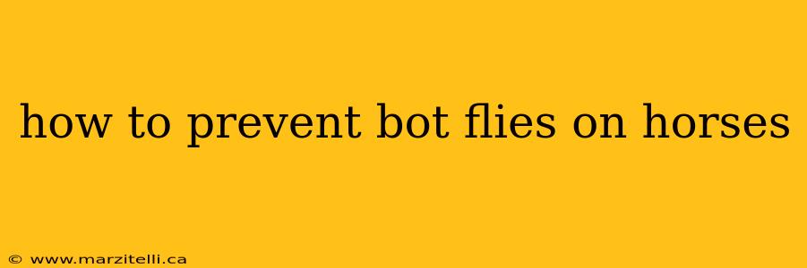 how to prevent bot flies on horses