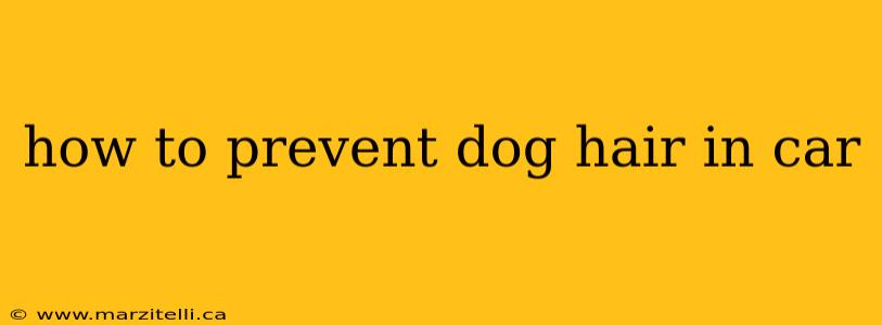 how to prevent dog hair in car