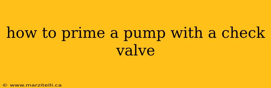 how to prime a pump with a check valve