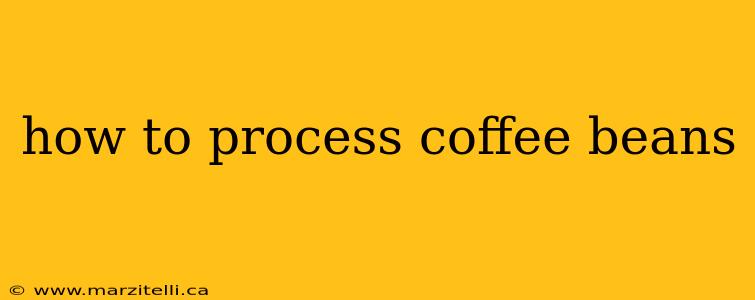how to process coffee beans