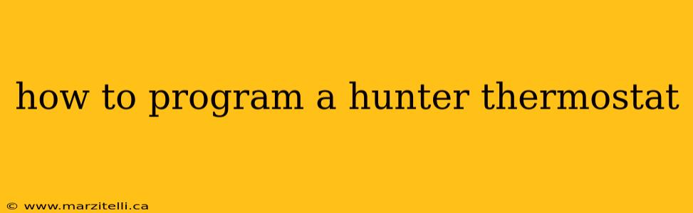 how to program a hunter thermostat