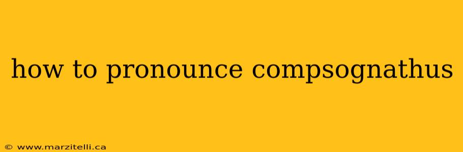 how to pronounce compsognathus